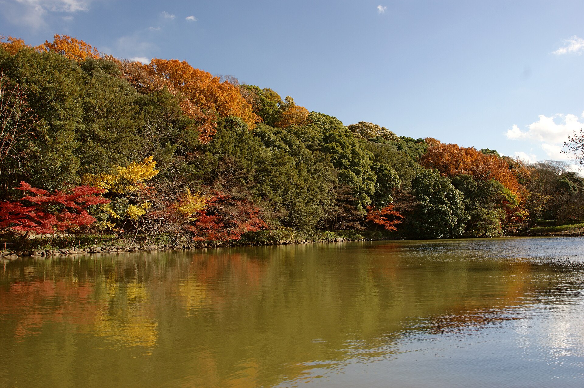 明石公園の池と紅葉